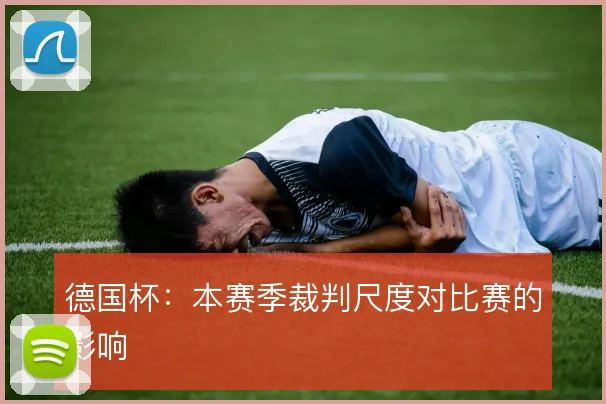 德国杯:本赛季裁判尺度对比赛的影响