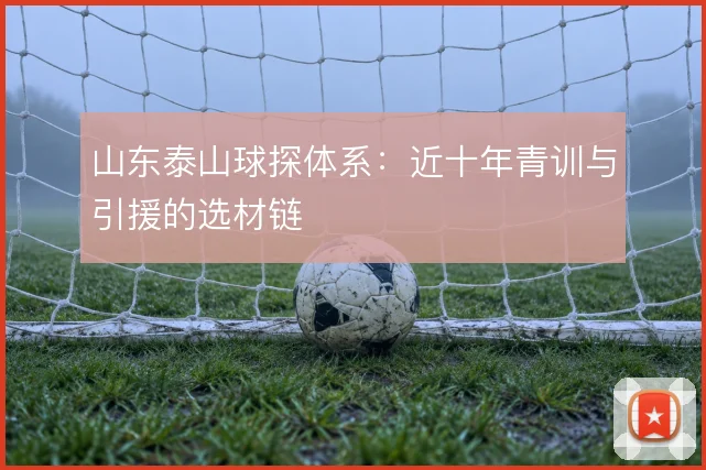 山东泰山球探体系:近十年青训与引援的选材链